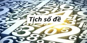 Tịch Số Đề Và Hướng Dẫn Cách Để Nhận Dạng Chính Xác